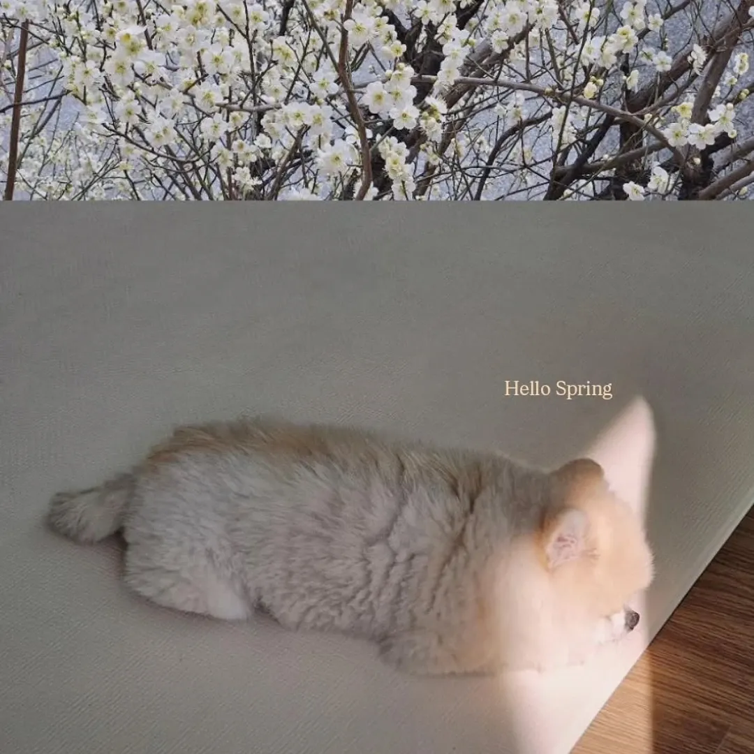 Latest photo of Hanbin (TEMPEST)