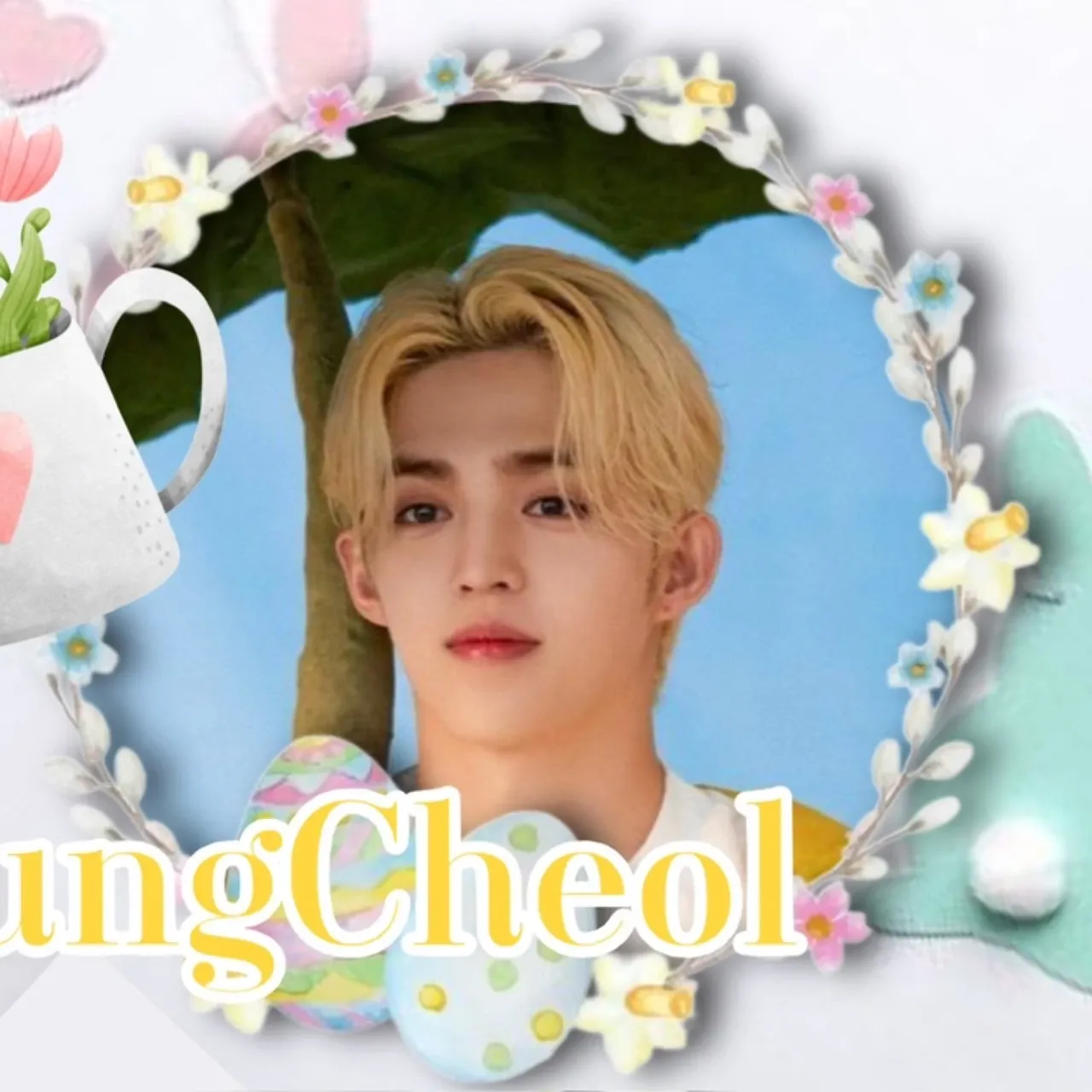 A moment captured by S.Coups (SEVENTEEN)'s fan