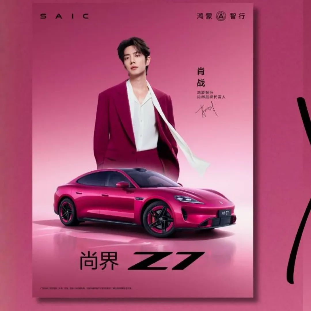 Recent activity shot of Xiao Zhan