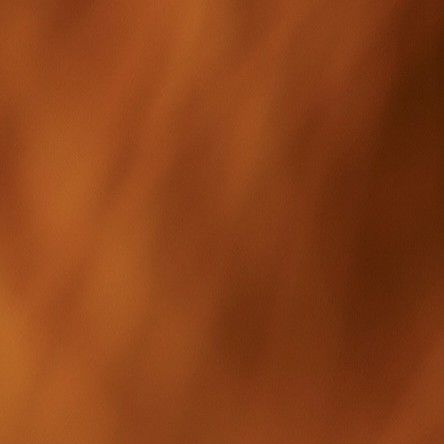 OH MY GIRLの最新写真