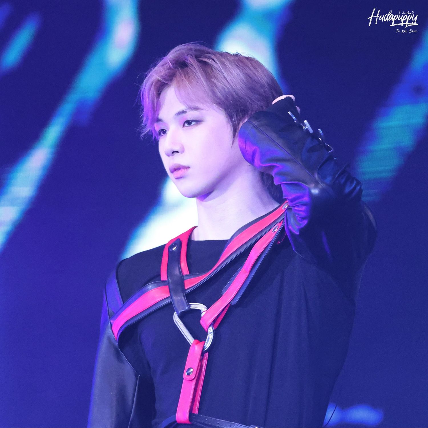 Potret di balik layar Kang Daniel