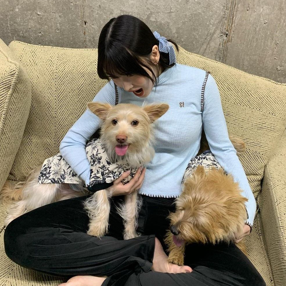 Recent activity shot of Momo (TWICE)