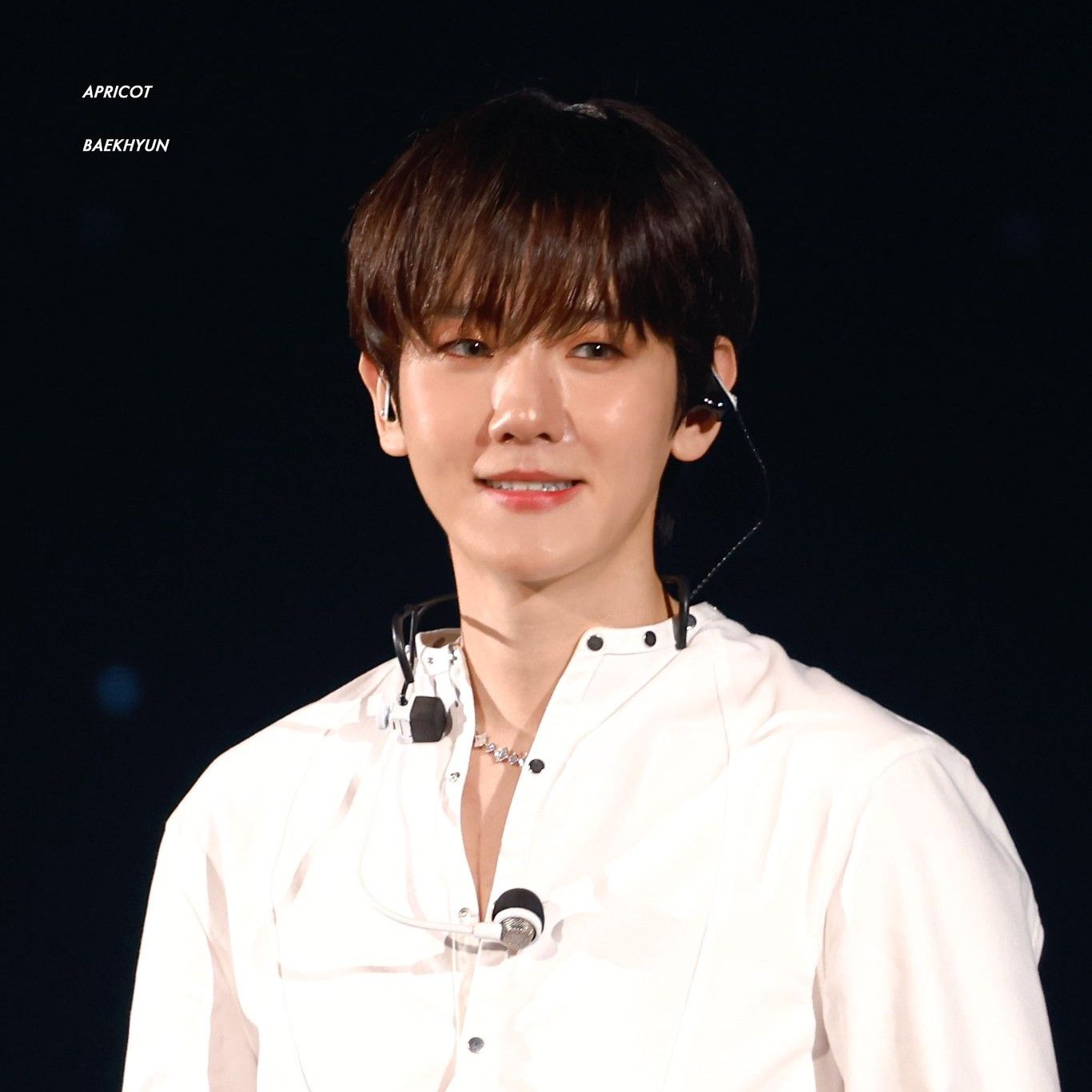 伯賢 (EXO)粉絲拍下的瞬間