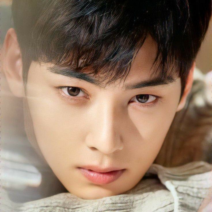 ASTRO的最新照片