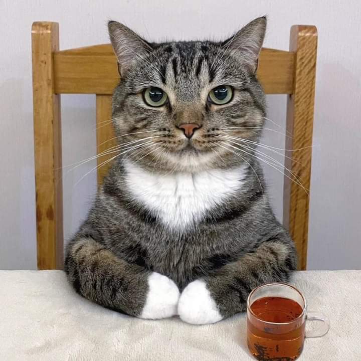 뷔 (방탄소년단)의 비하인드 컷