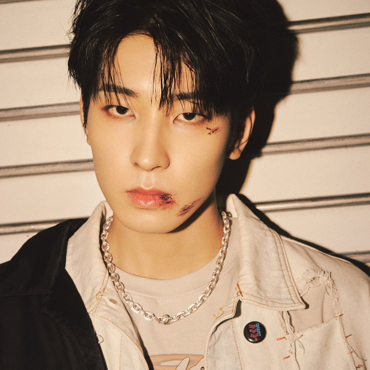 세븐틴 팬이 찍은 순간