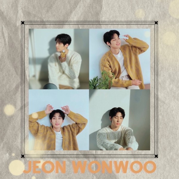 Signature photo of Wonwoo (SEVENTEEN) capturing their charm