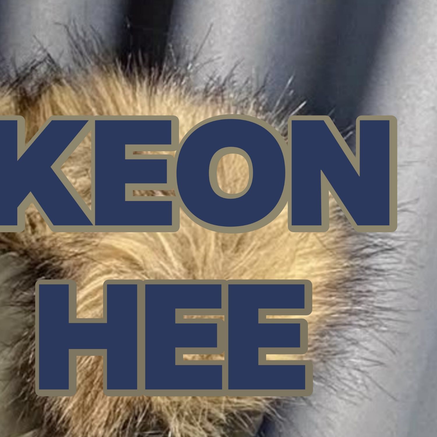 A moment captured by Keonhee (ONEUS)'s fan