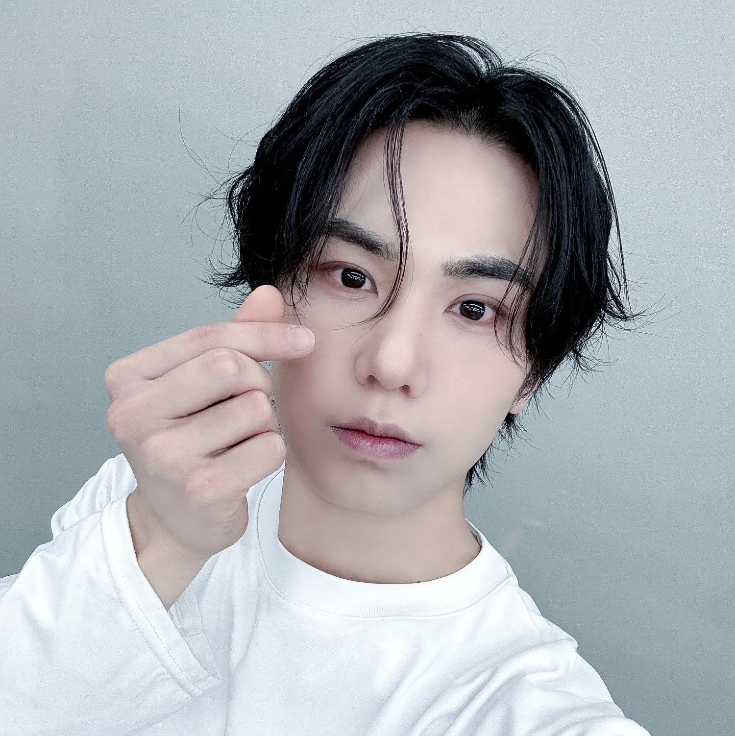 Recent activity shot of Rocky