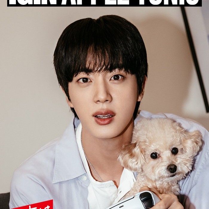 진 (방탄소년단) 팬이 찍은 순간