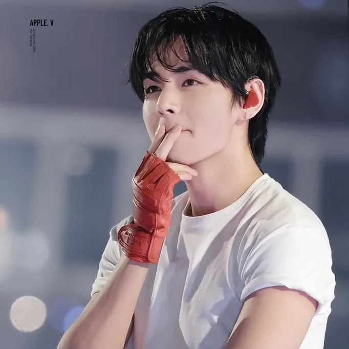 Potret di balik layar V (BTS)