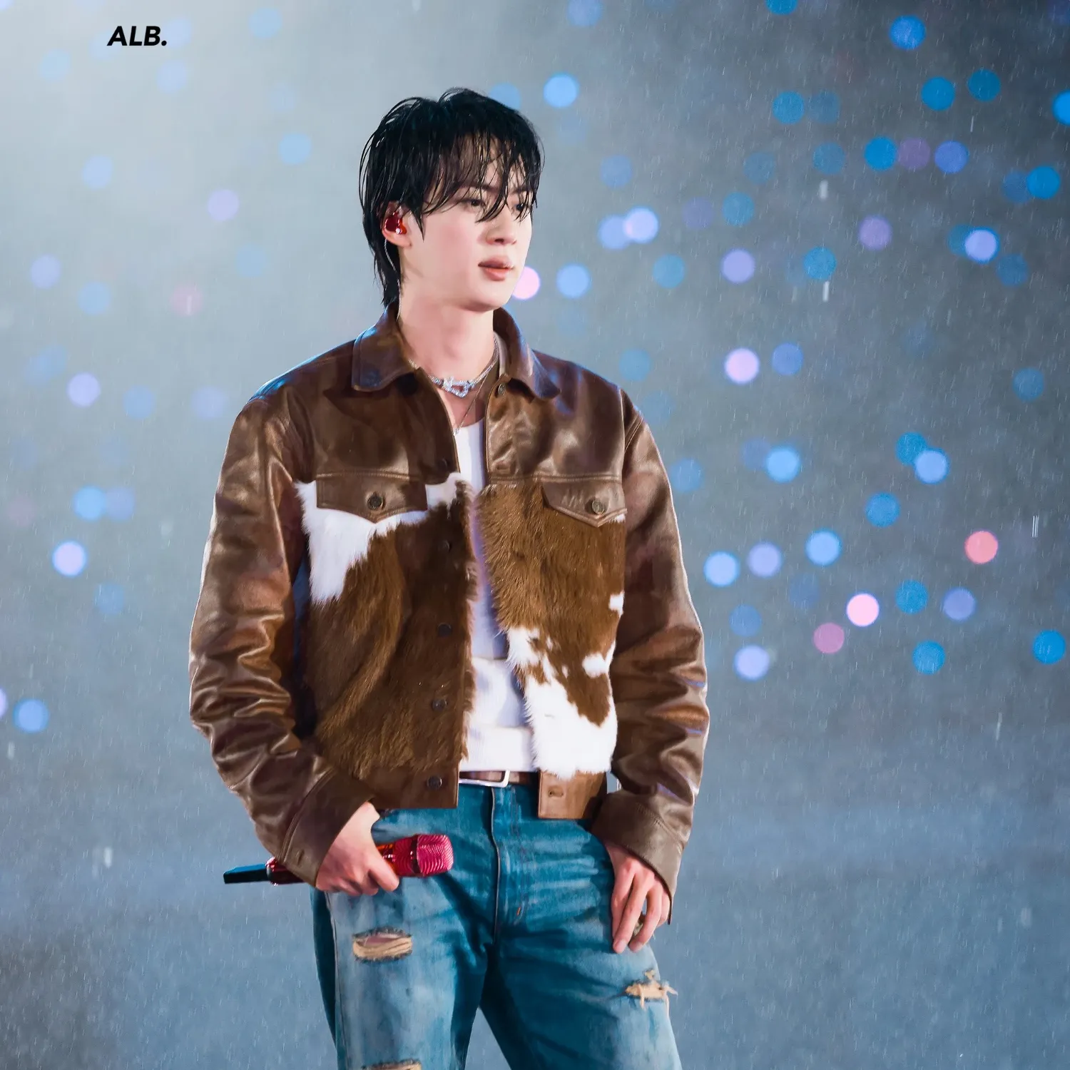 A moment captured by Jin (BTS)'s fan