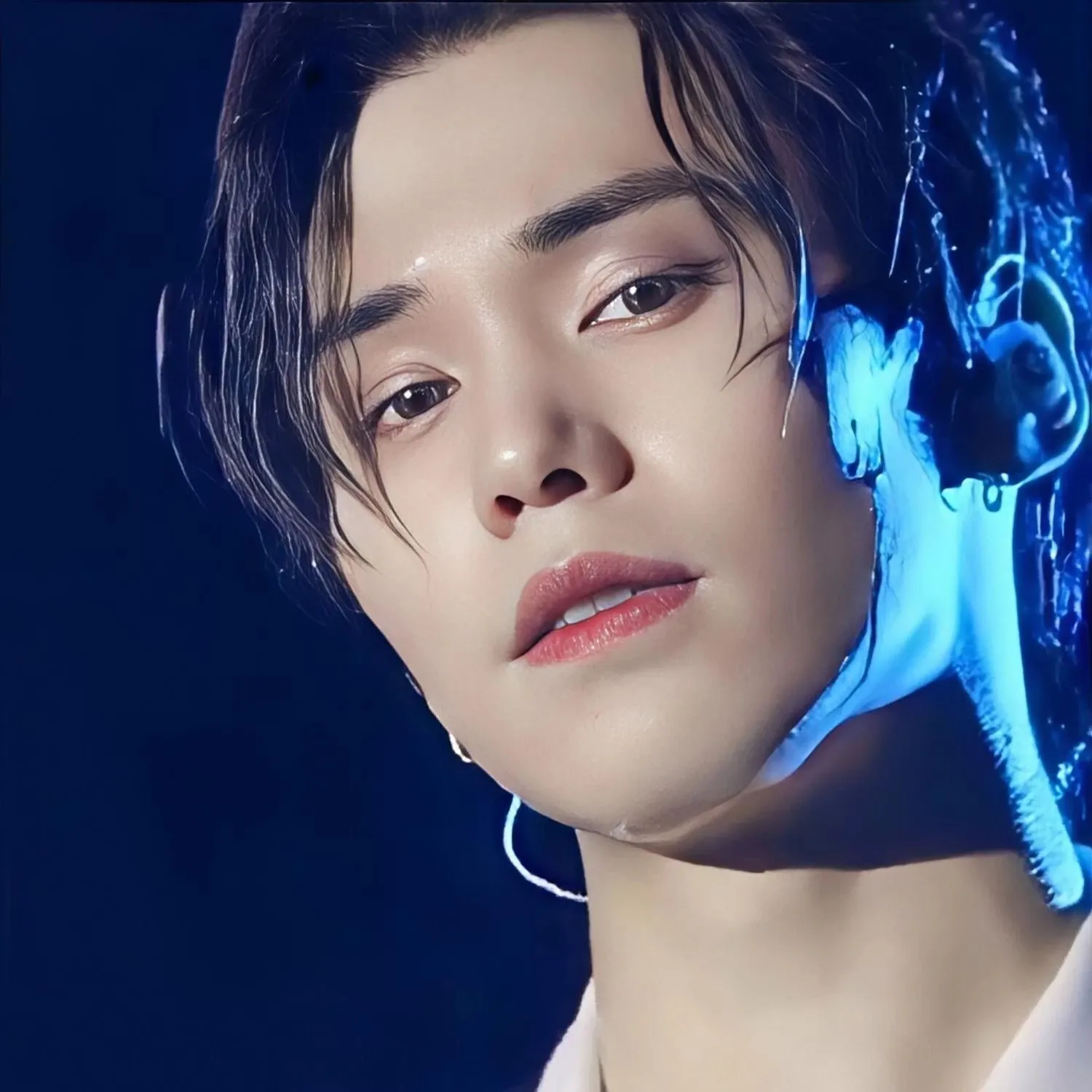 Recent activity shot of Rocky