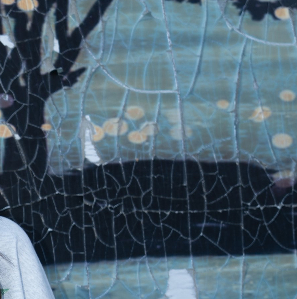 A moment captured by Loossemble's fan