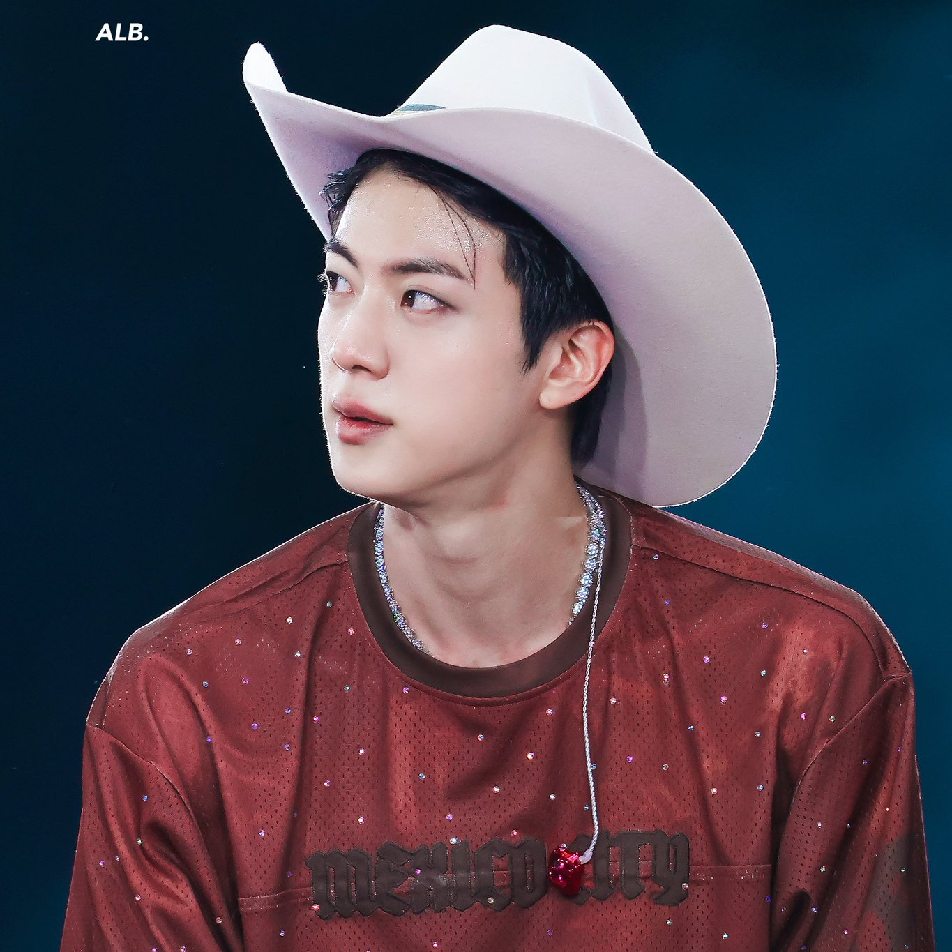 Momen yang diabadikan oleh penggemar Jin (BTS)