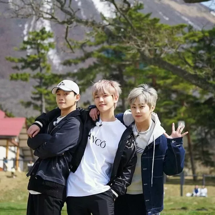 伯賢 (EXO)粉絲拍下的瞬間