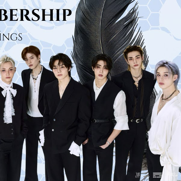 A moment captured by HAN (Stray Kids)'s fan