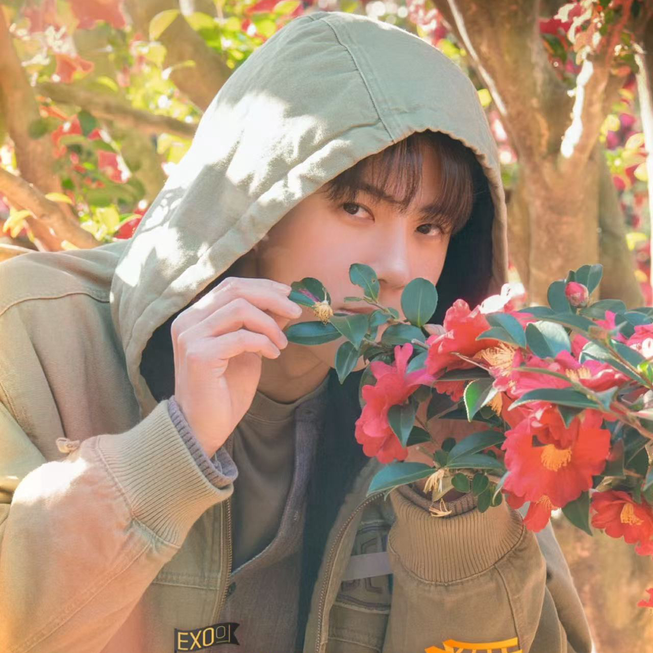 세훈 (EXO) 팬이 찍은 순간