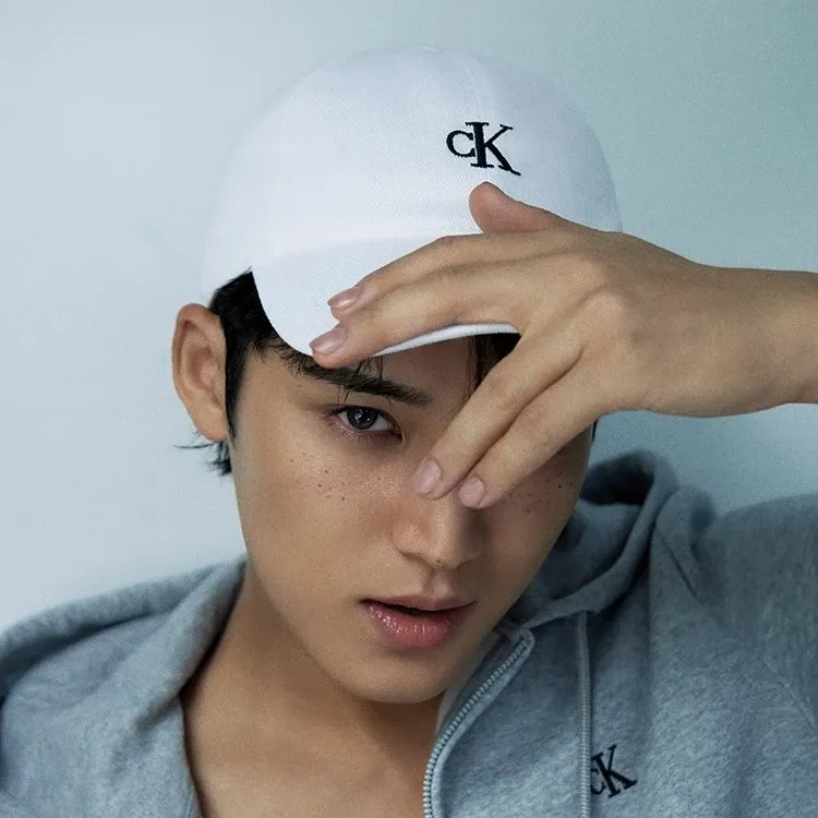 Recent activity shot of Mingyu (SEVENTEEN)