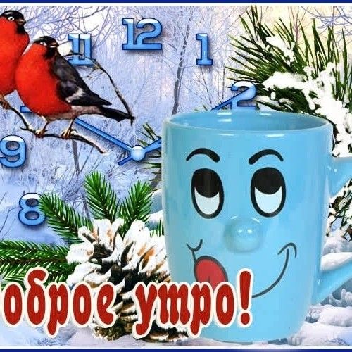 아이유의 비하인드 컷