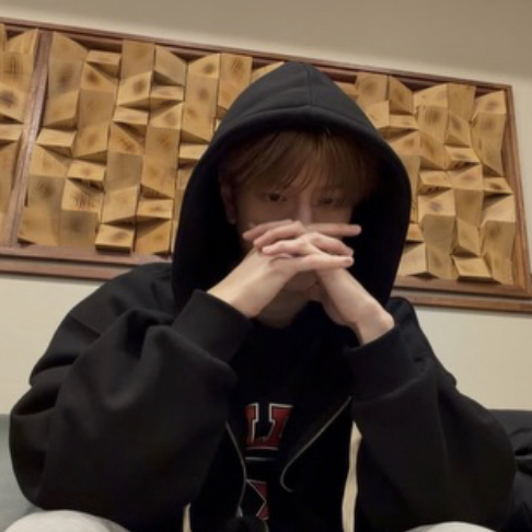 Stray Kids 팬이 찍은 순간
