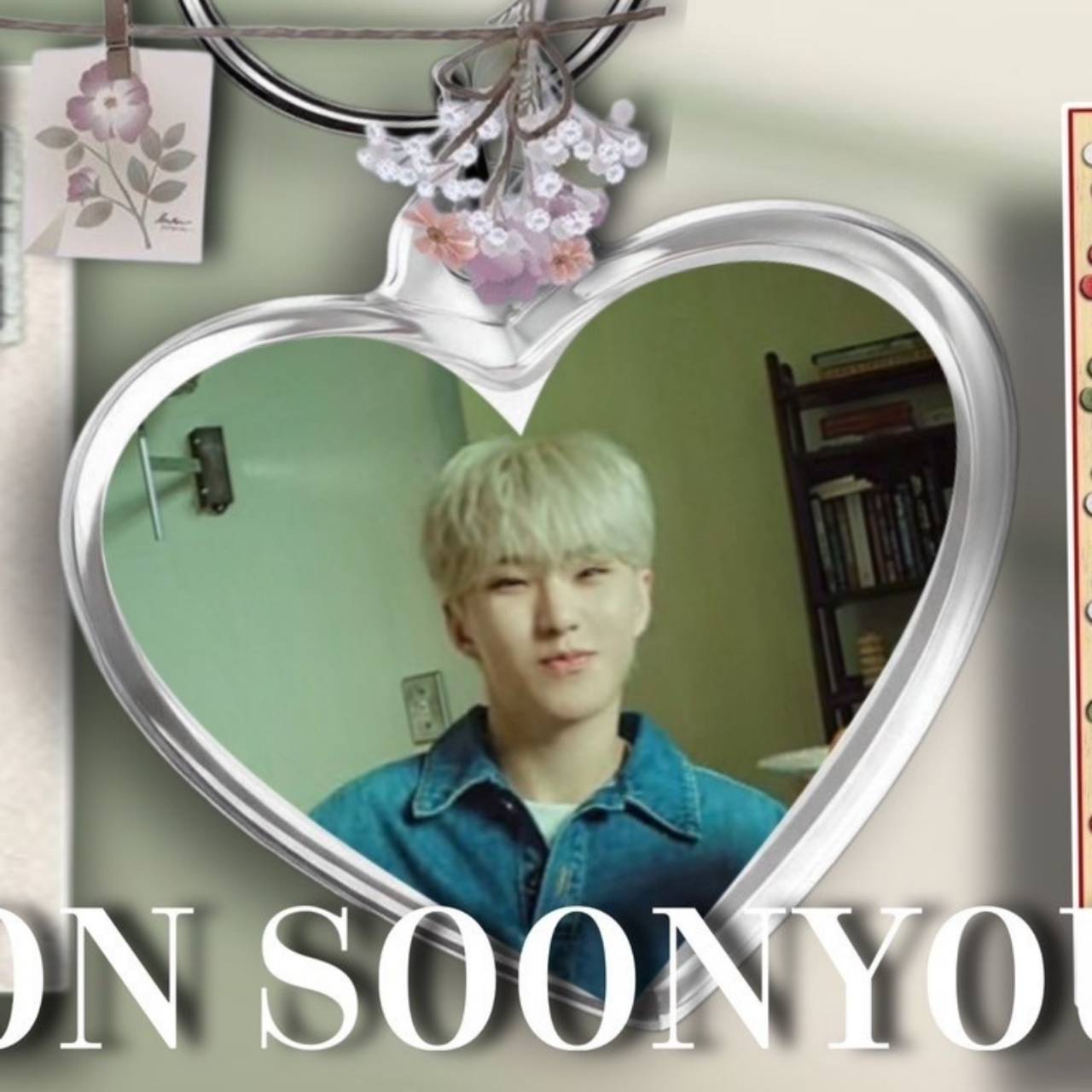 A moment captured by Hoshi (SEVENTEEN)'s fan