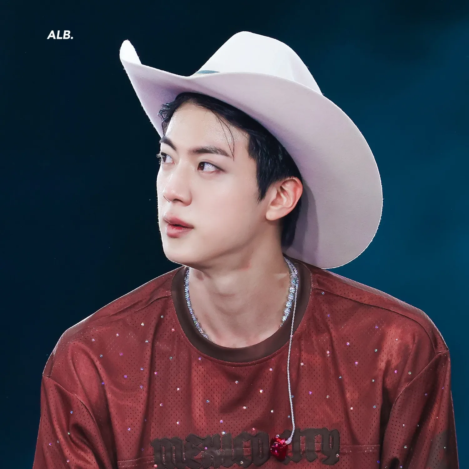 Momen yang diabadikan oleh penggemar Jin (BTS)