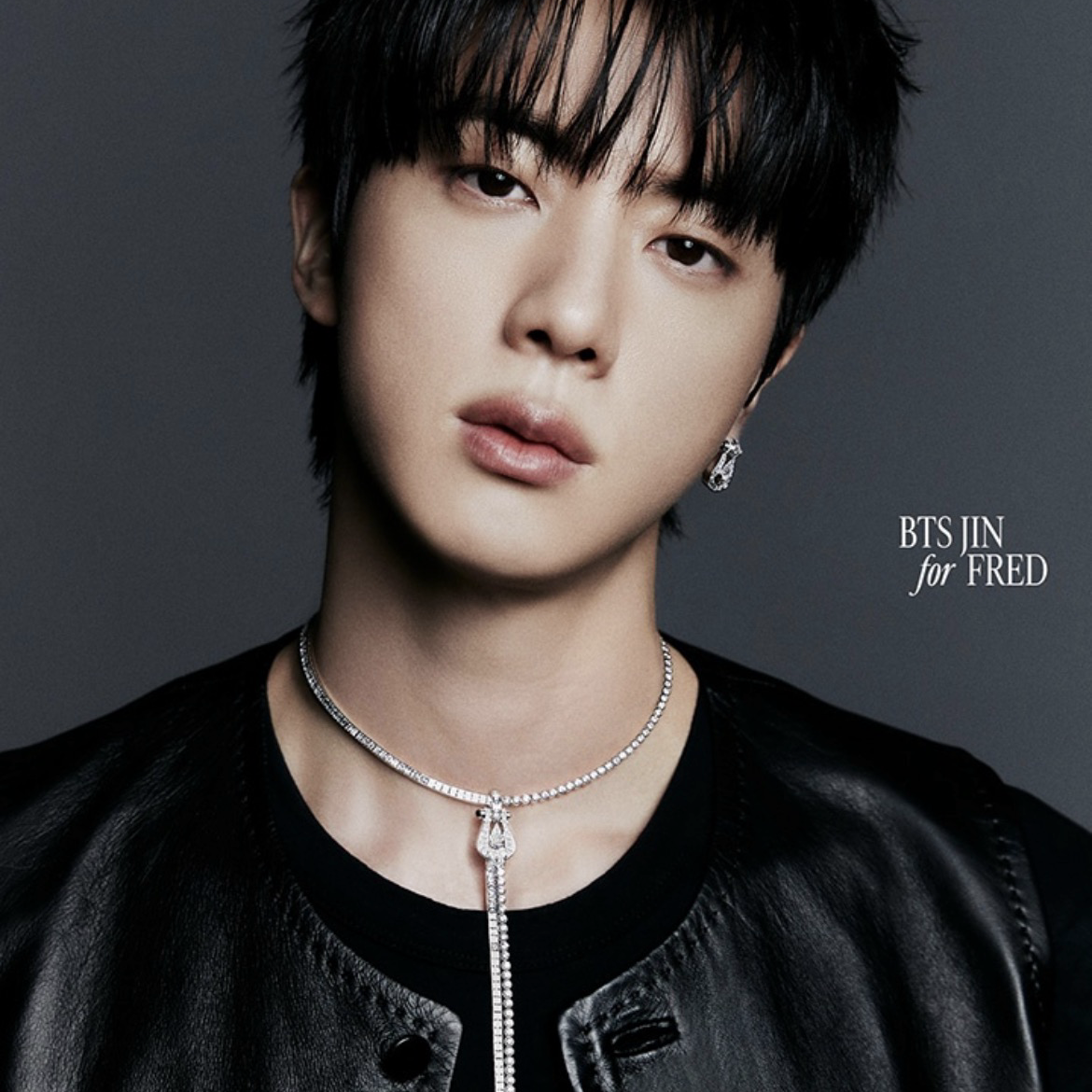 A moment captured by Jin (BTS)'s fan