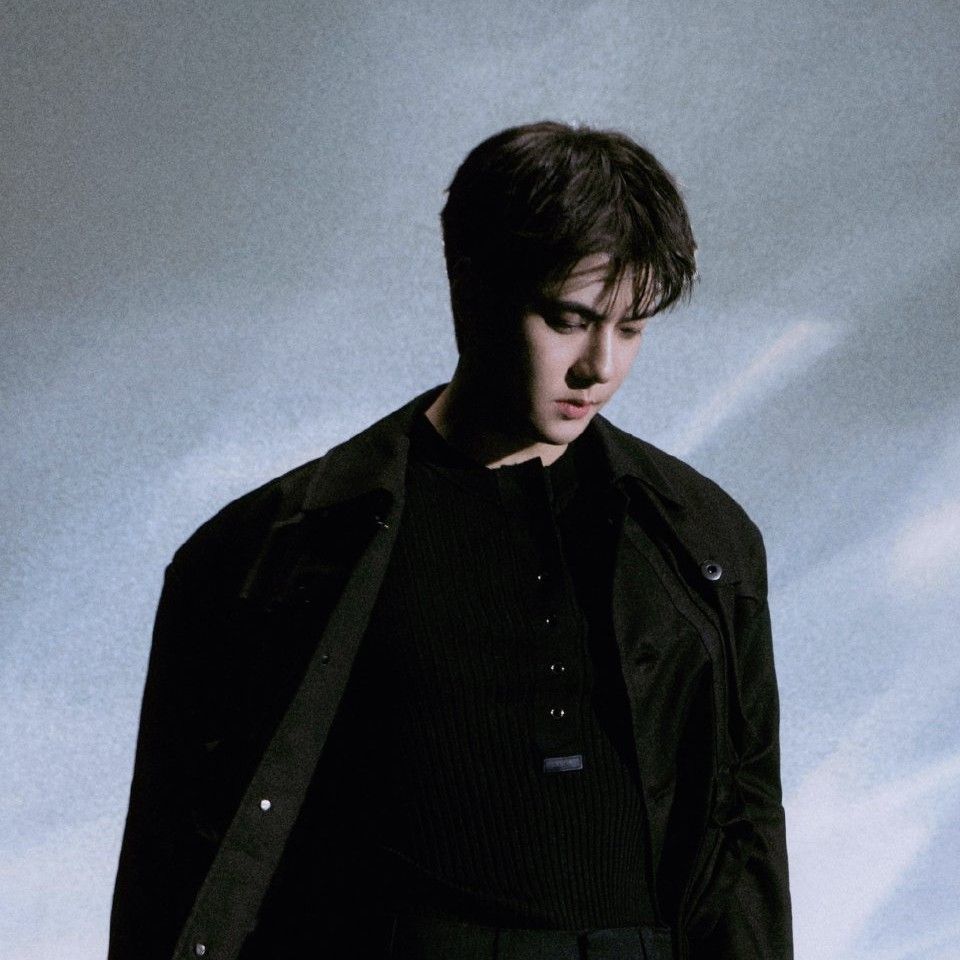 世勳 (EXO)粉絲拍下的瞬間