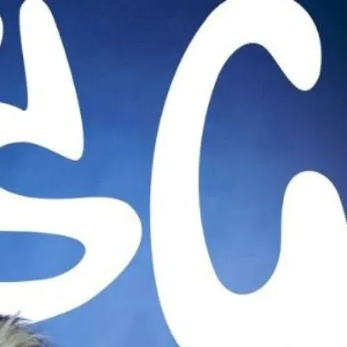 Behind-the-scenes cut of Hong (LYKN)