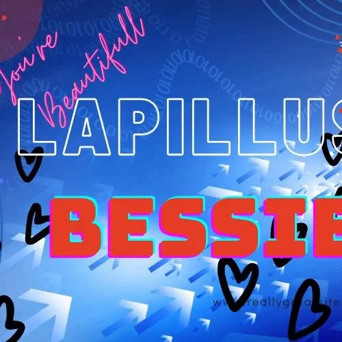 A moment captured by Bessie (Lapillus)'s fan