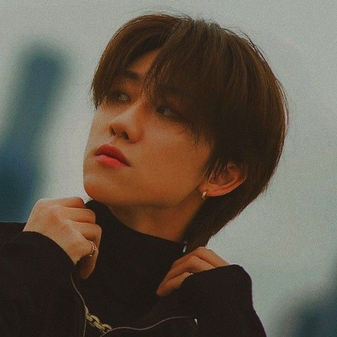 디에잇 (세븐틴) 팬이 찍은 순간