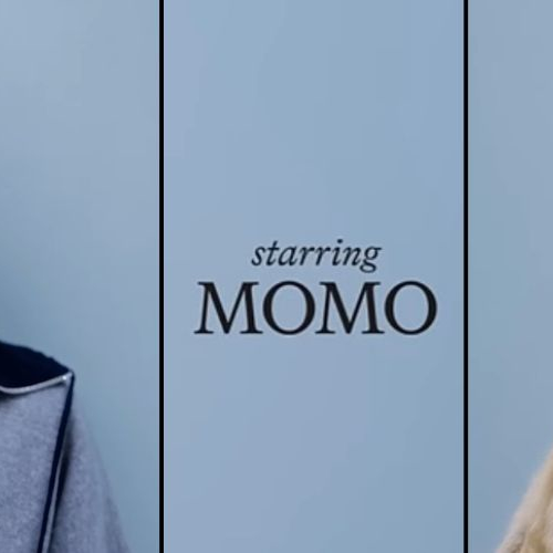 모모 (TWICE) 최근 활동샷