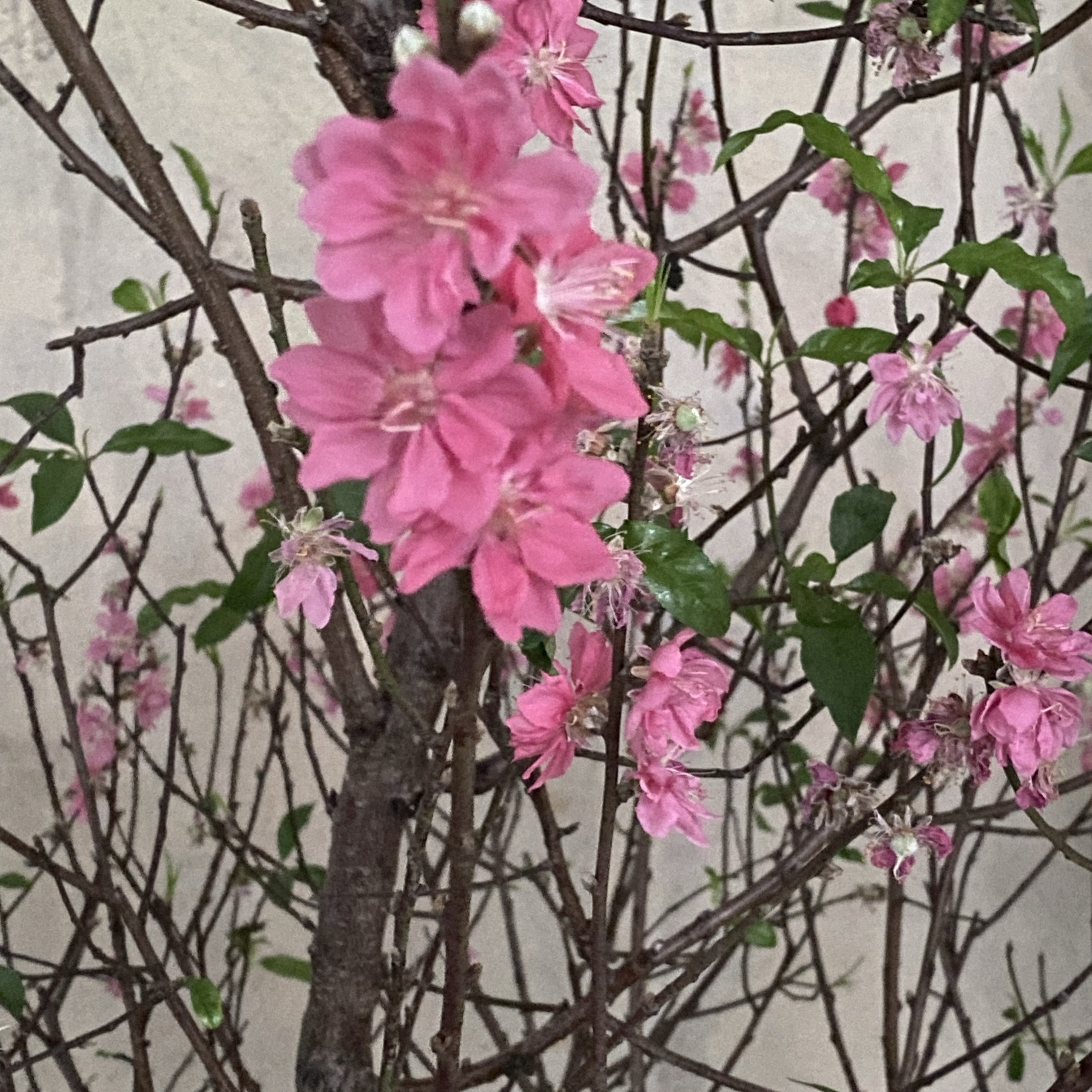 NewJeansファンが撮った瞬間