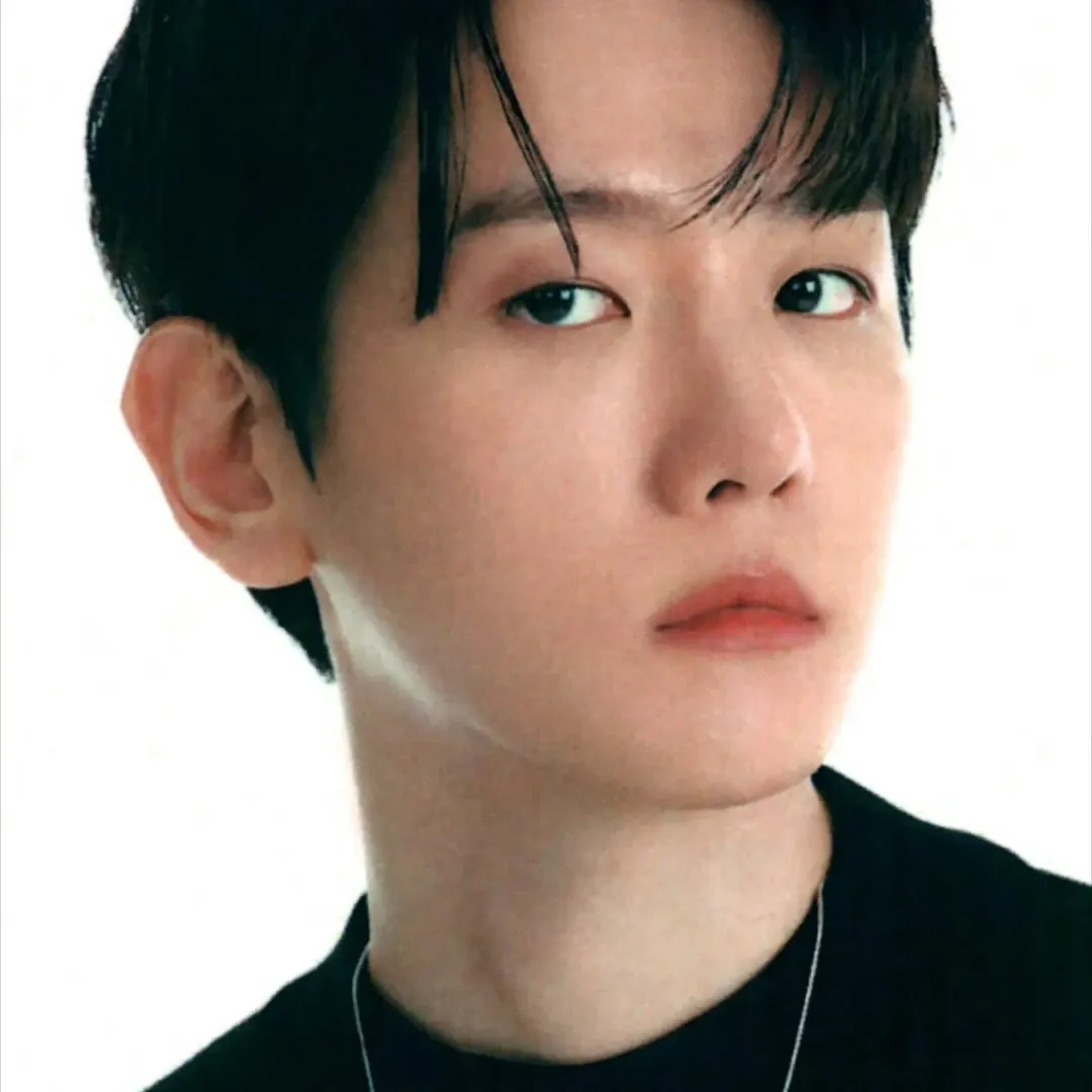 伯賢 (EXO)的幕後花絮