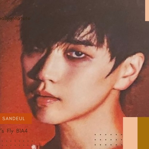 サンドゥル (B1A4)の最近の活動写真