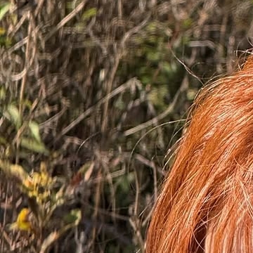 Behind-the-scenes cut of Jeong Yein (Lovelyz)