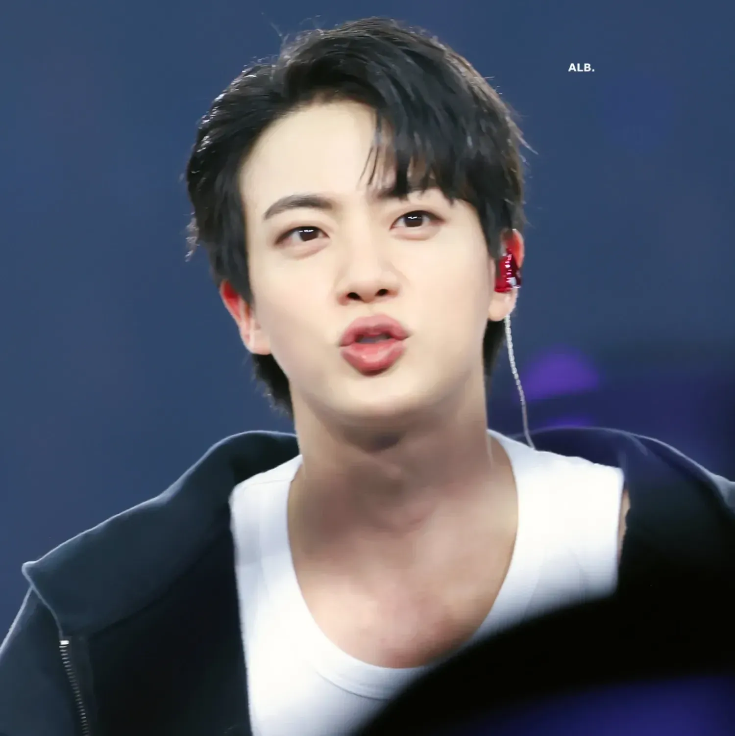 진 (방탄소년단) 팬이 찍은 순간