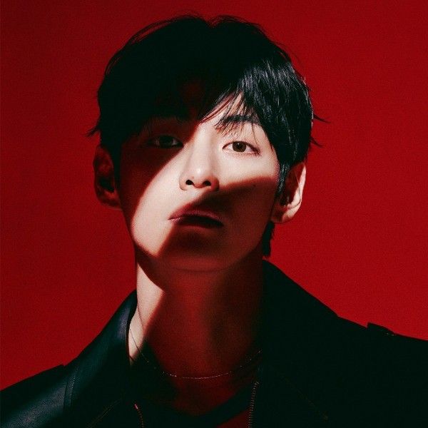 A moment captured by V (BTS)'s fan