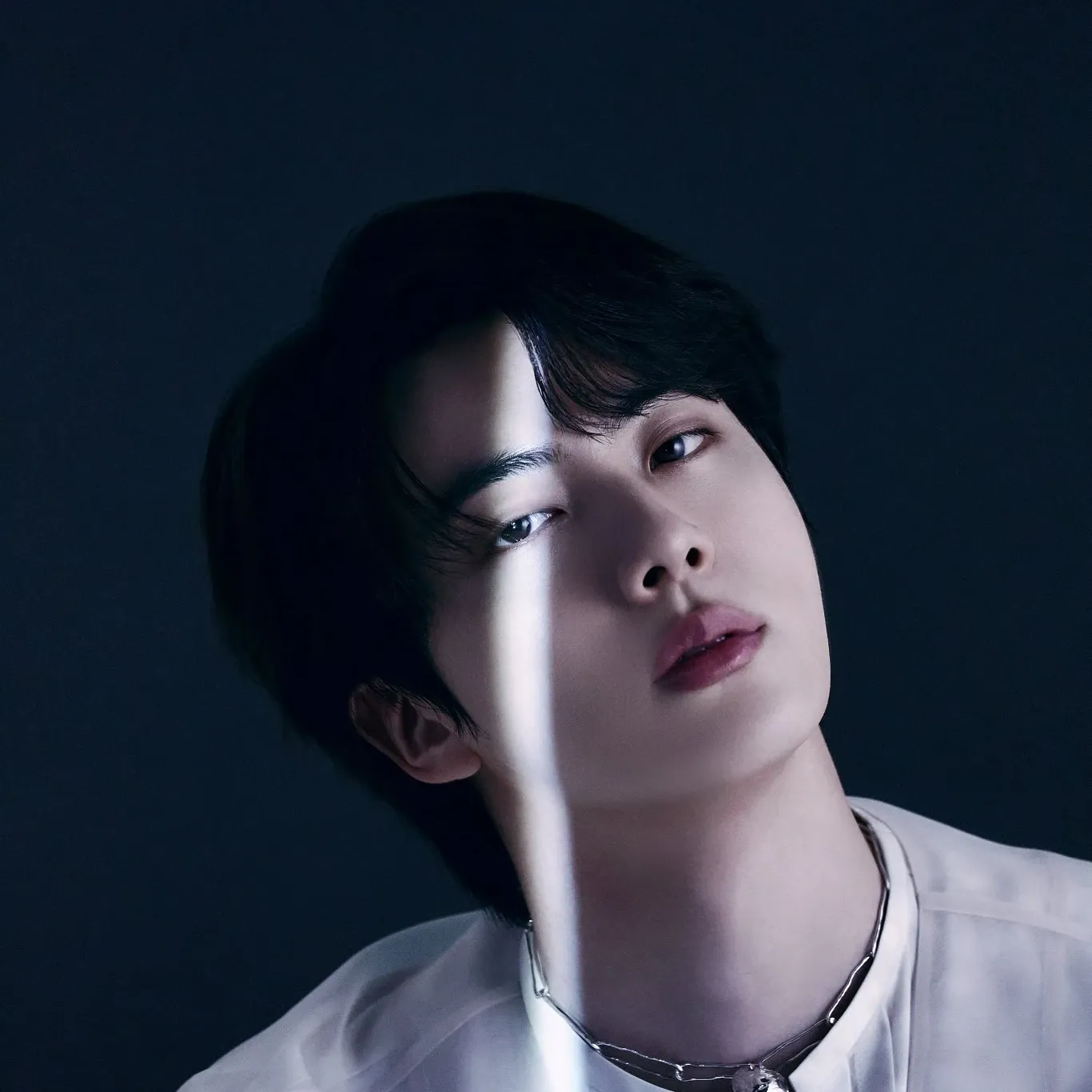 A moment captured by Jin (BTS)'s fan
