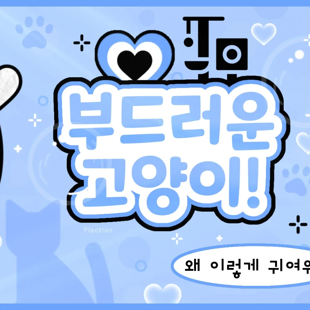 Latest photo of KYA (KiiiKiii)