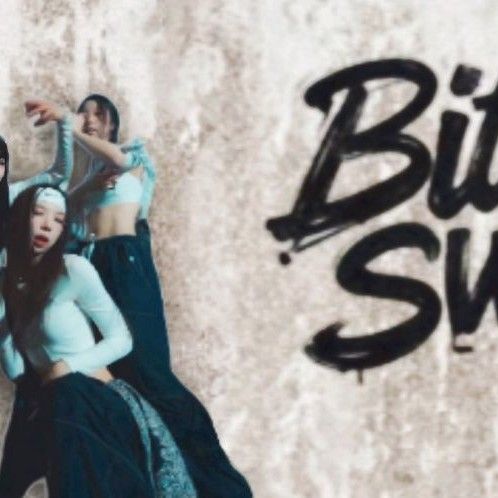 SECRET NUMBER 팬이 찍은 순간