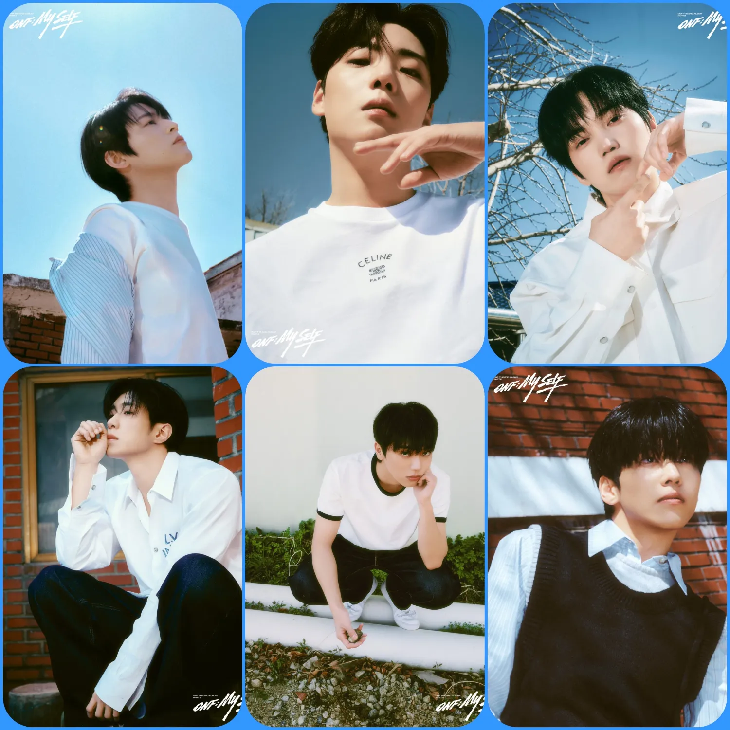 Recent activity shot of ONF