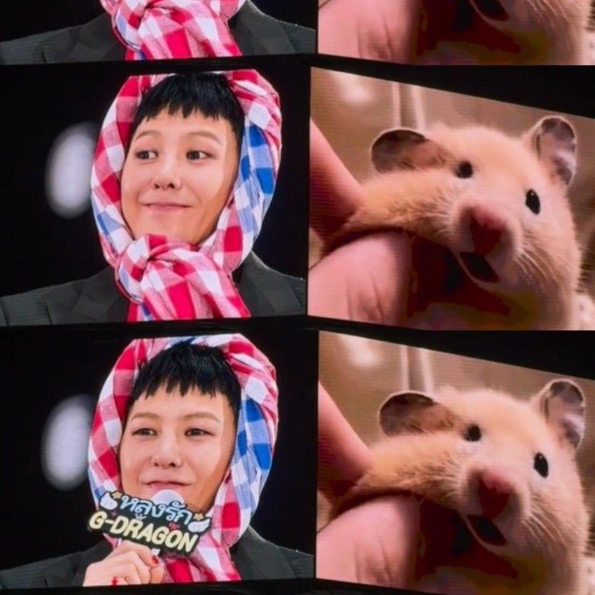 Recent activity shot of G-DRAGON (BIGBANG)