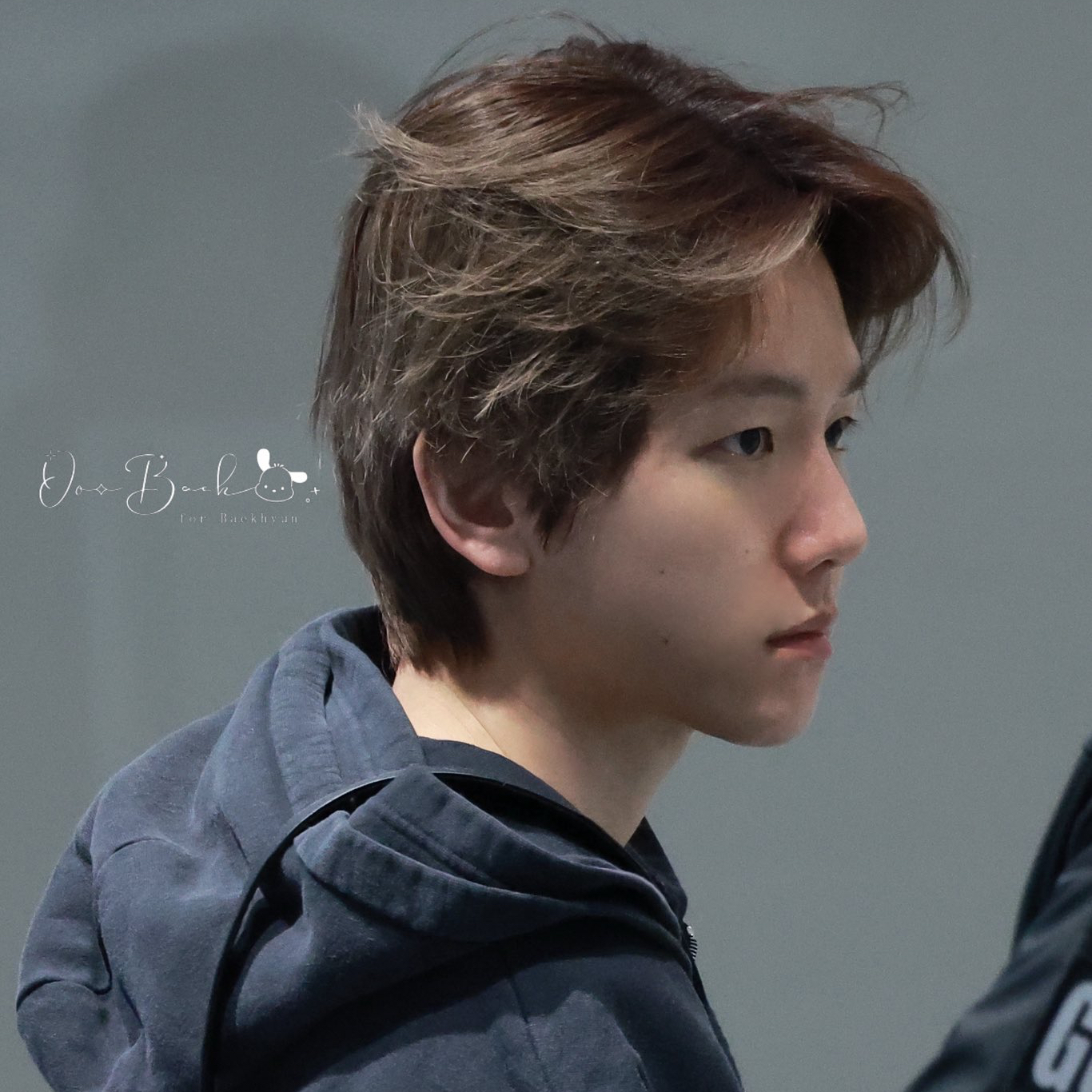 伯賢 (EXO)的幕後花絮