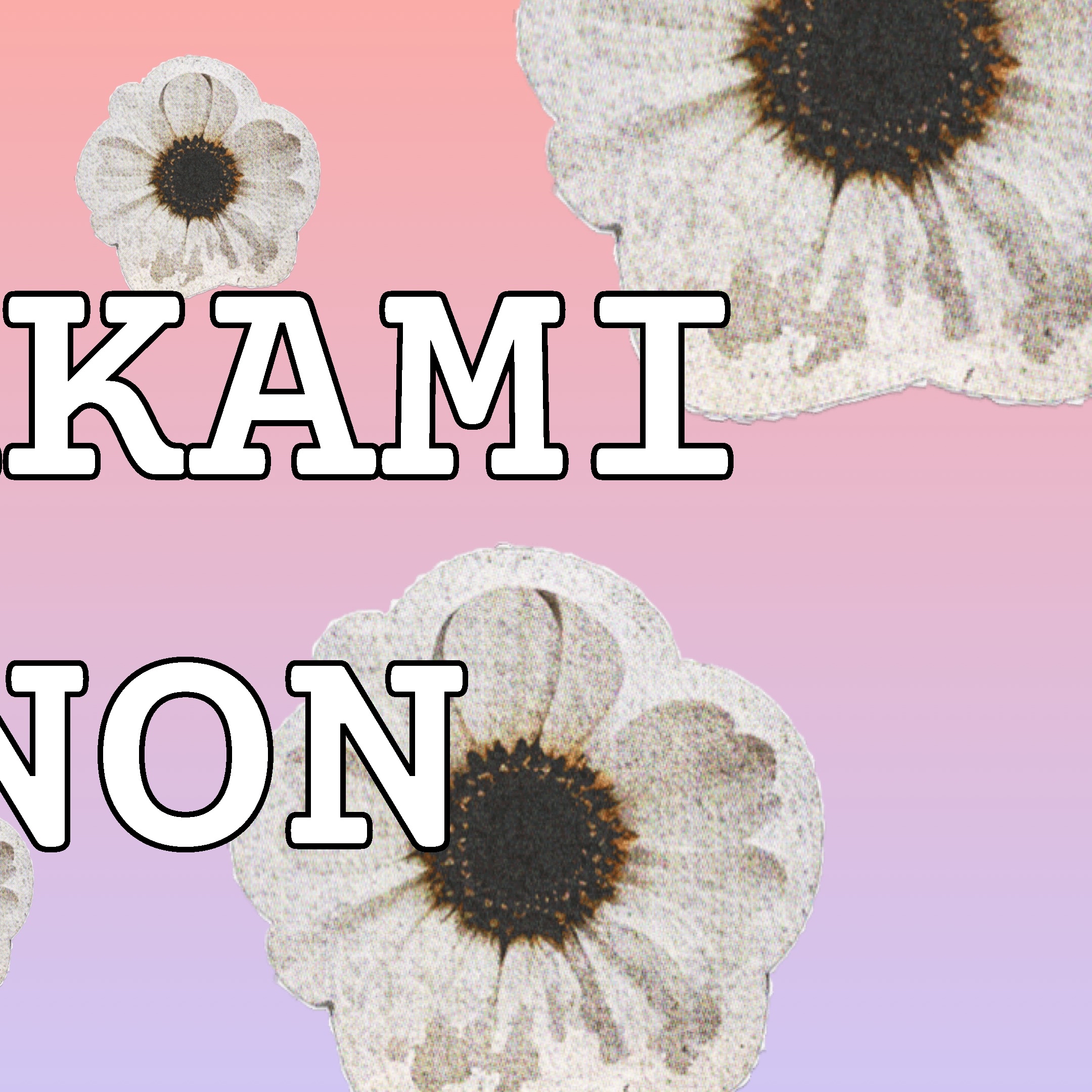 A moment captured by Murakami Rinon (ME:I)'s fan