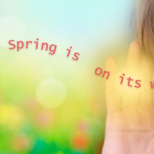 K-POP posts beloved by 세이타 (NEXZ) fans