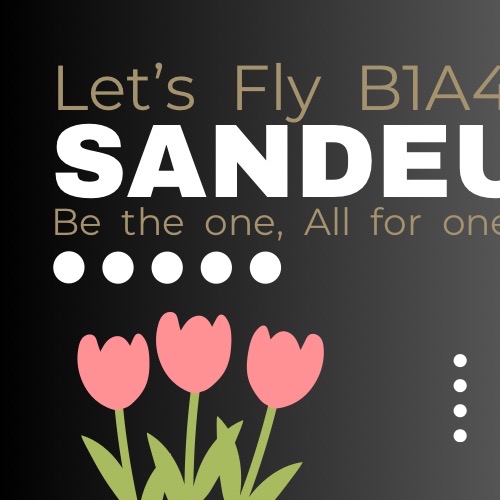 A moment captured by Sandeul (B1A4)'s fan