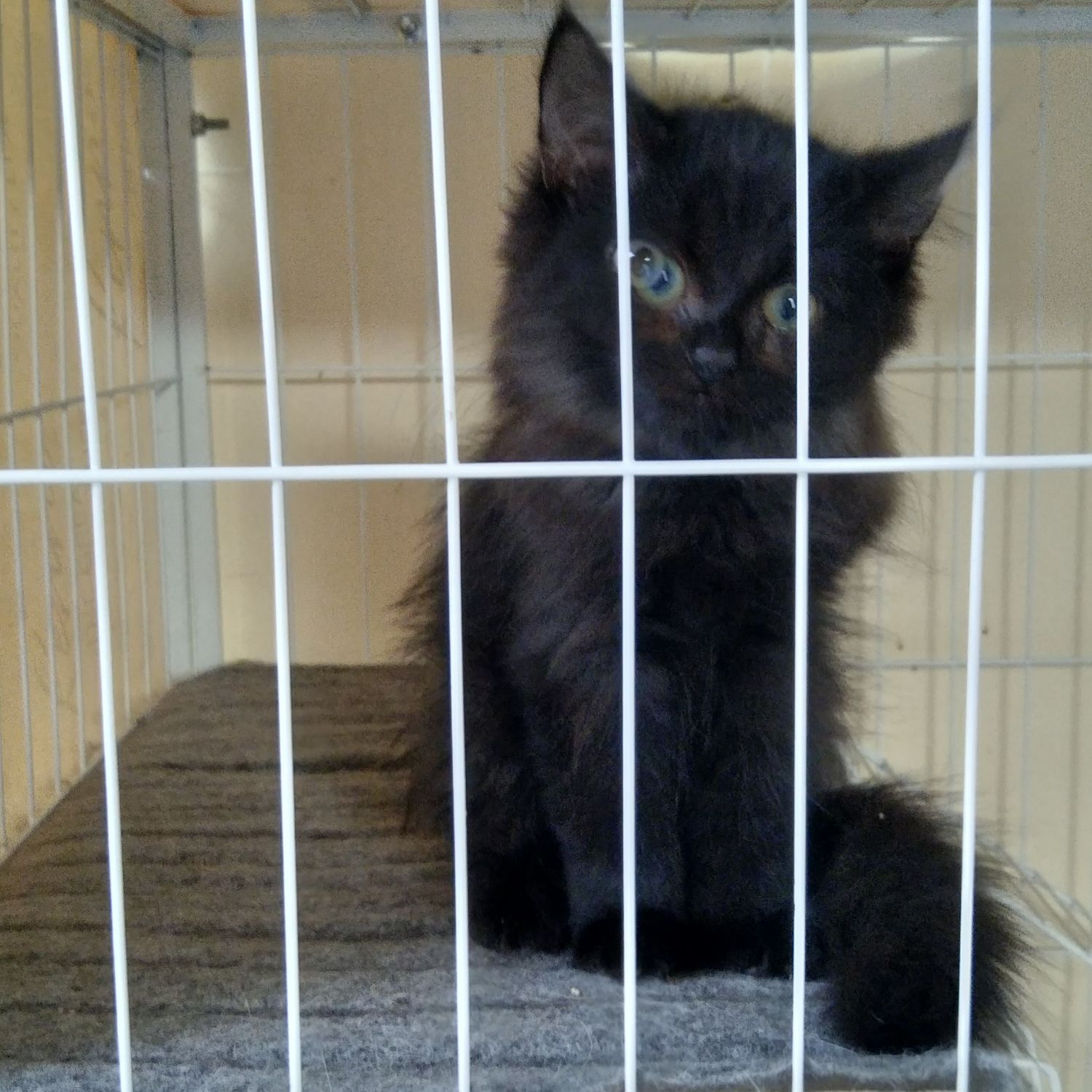 RM (방탄소년단) 팬이 찍은 순간