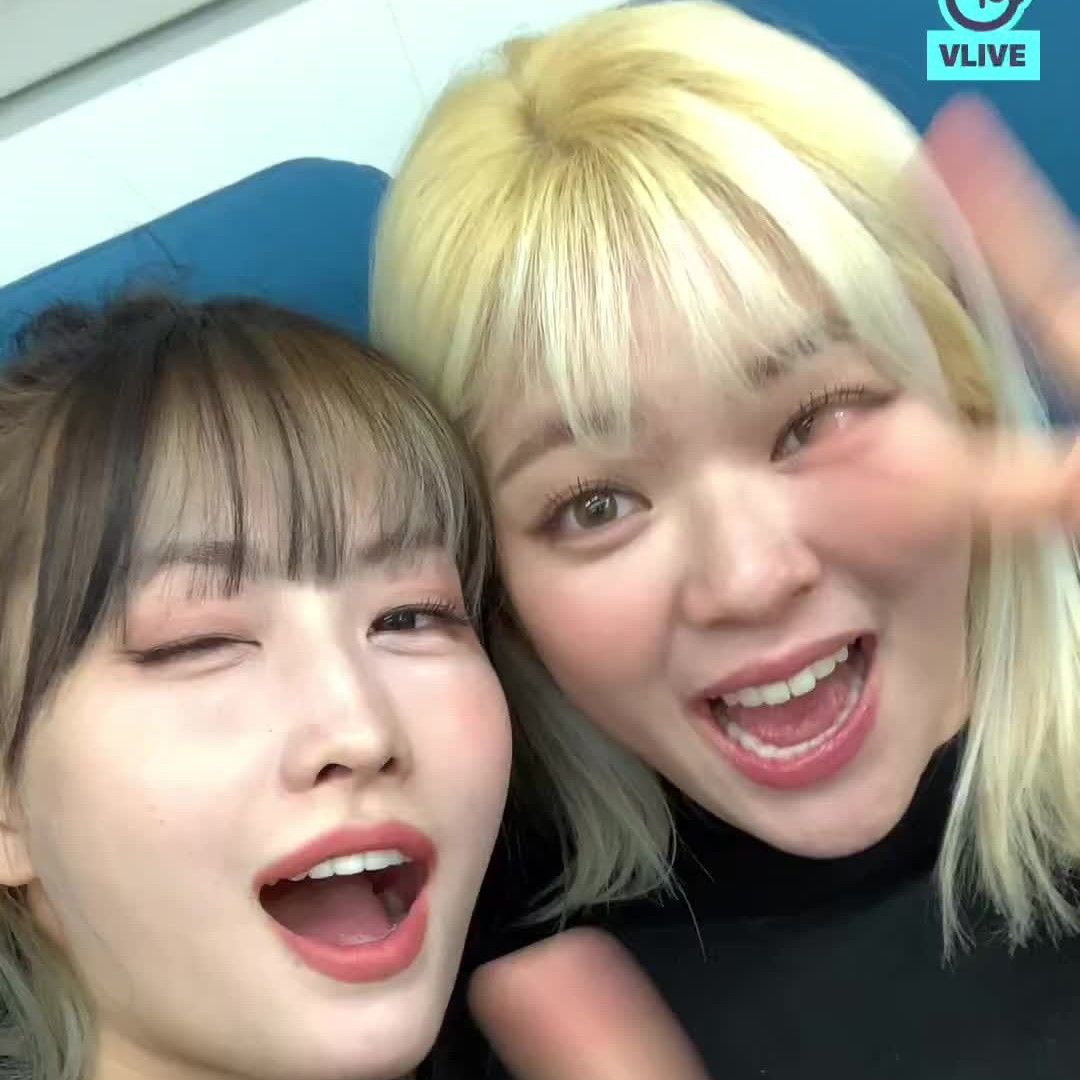 모모 (TWICE) 팬이 찍은 순간